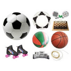 Manufacturers Exporters and Wholesale Suppliers of Other Sport Goods Mumbai Maharashtra